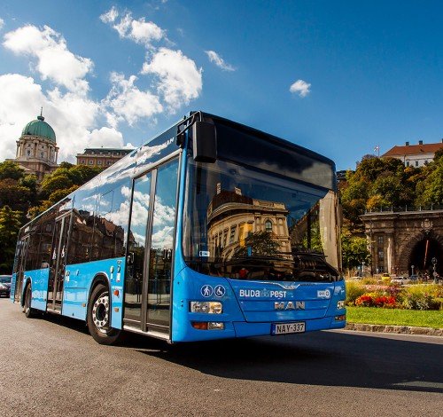 Bus